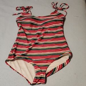 Albion Multicolor Striped One Piece Swimsuit